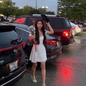 aritzia tinsley sweetheart dress